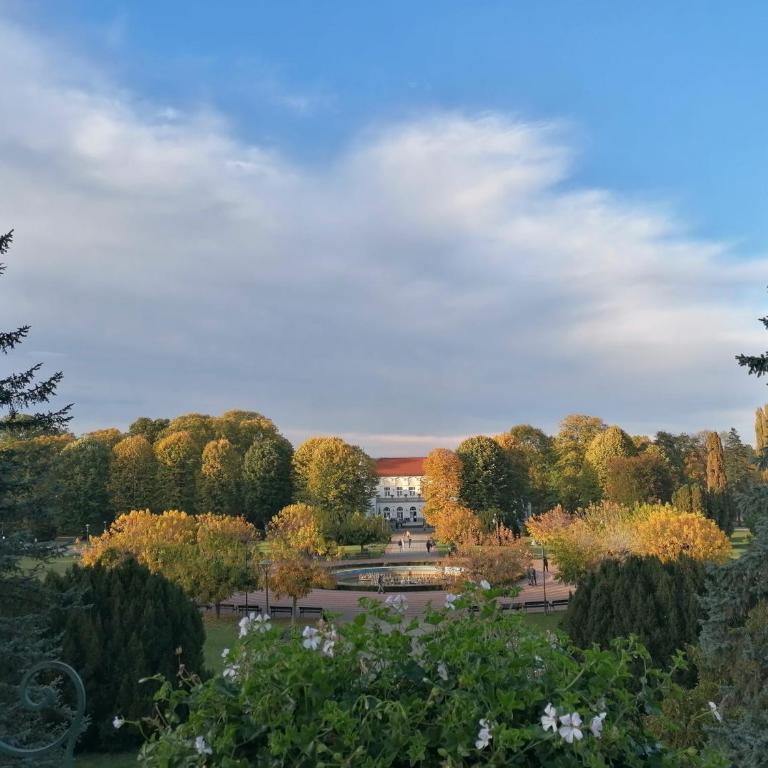 Apartman Sofia - Apartman sa 1 Spavaćom Sobom - 26