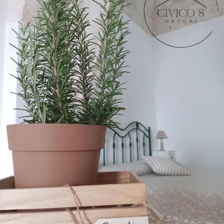 Civico 8 - Casa Vacanze - 2