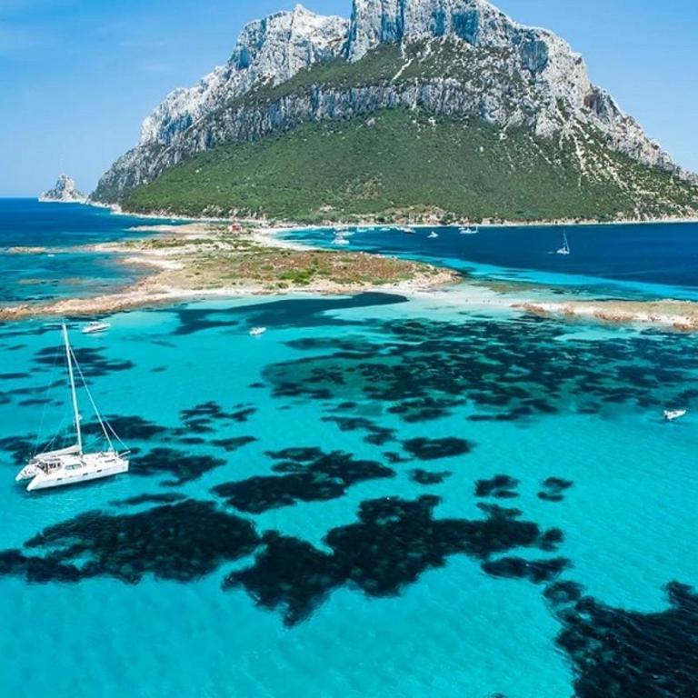 NEST HOUSE - ESCLUSIVO APPARTAMENTO Marina di Olbia- MATER OLBIA - Beaches - close to the Airport - PRIVATE PARKING- Full comforts - - Superior One-Bedroom Apartment with Balcony - 43
