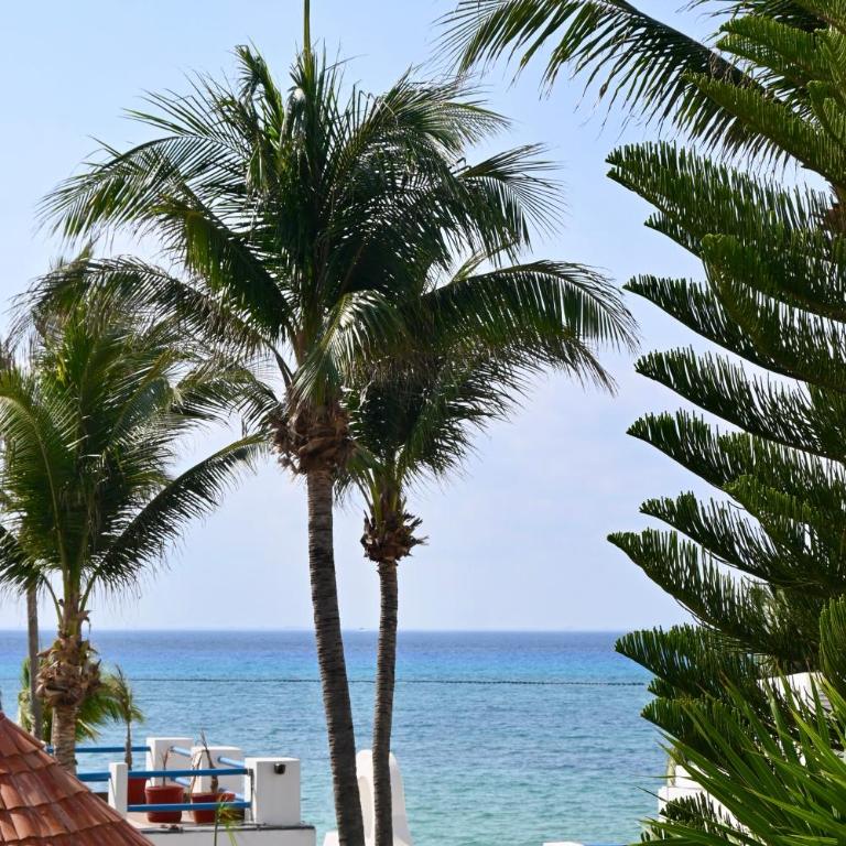 Pelicano Inn Playa del Carmen - Beachfront Hotel - Deluxe Family Suite - 1