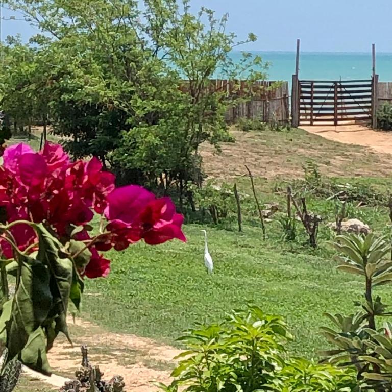 La Candelaria - One-Bedroom House - 29