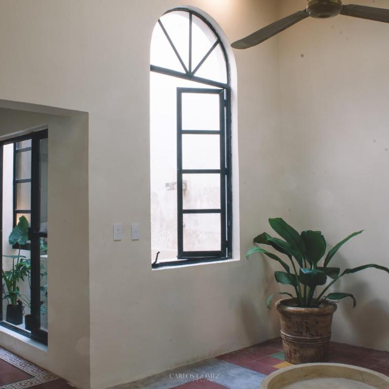 Casa Alicia @ Downtown - One-Bedroom House - 23