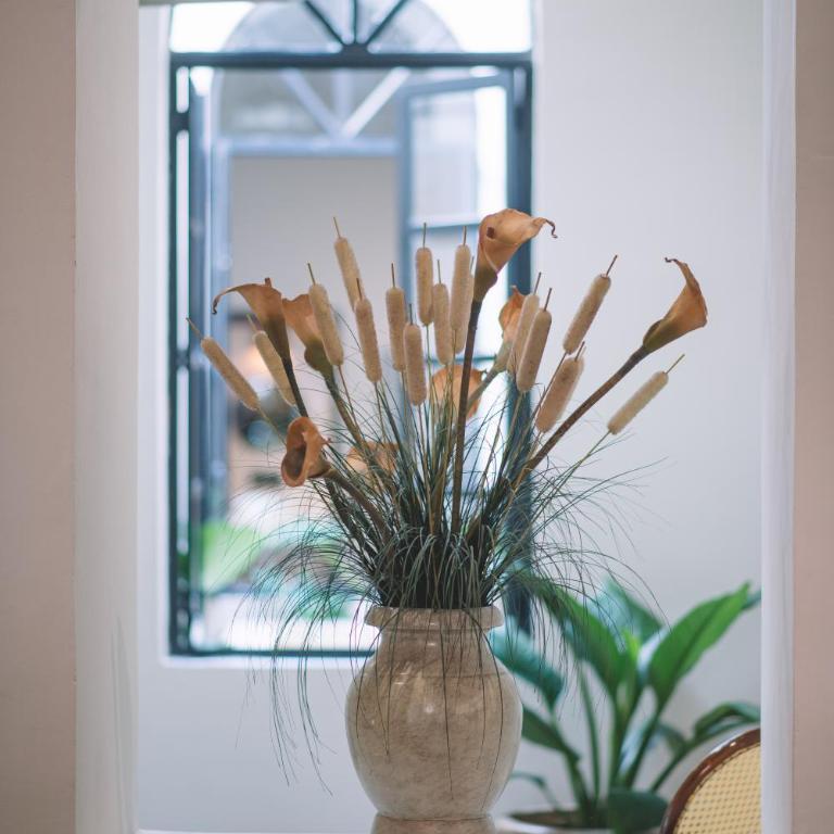 Casa Alicia @ Downtown - One-Bedroom House - 29