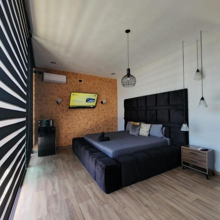 Suite en Tlaquepaque centro - Suite - 12
