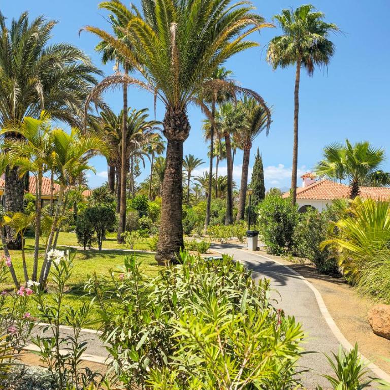dunes canary deluxe - Three-Bedroom Apartment - 19