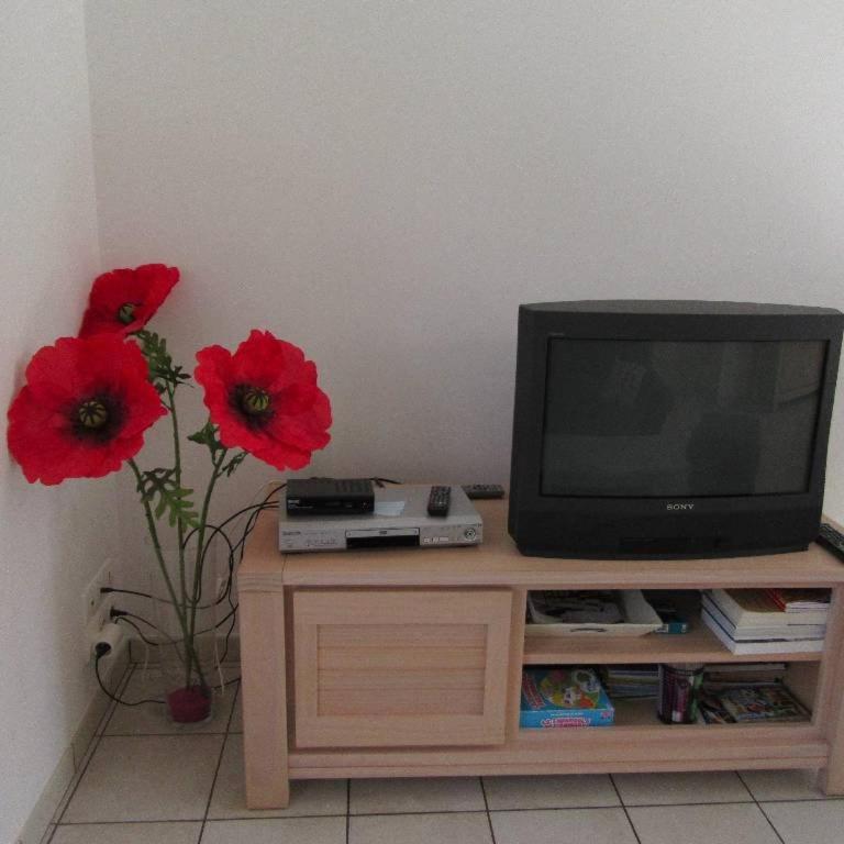 La jardiniere des plages - Maison 2 Chambres - 12
