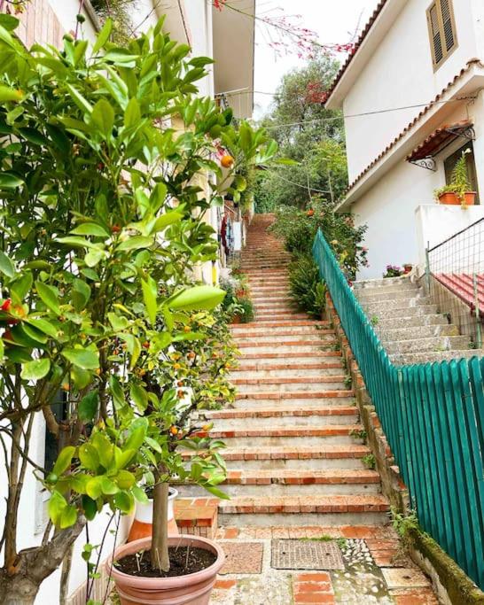 Villa des Arts - Taormina - Casa con 2 Camere da Letto - 44
