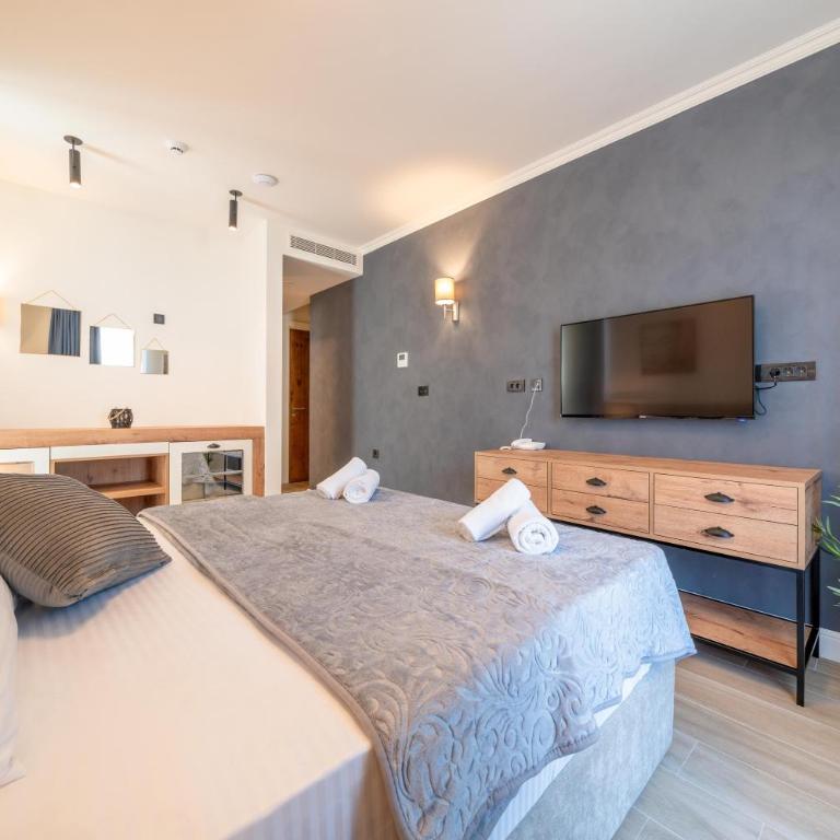 Invictus Hotel - Superior Dvokrevetna Soba sa Bračnim Krevetom - 4