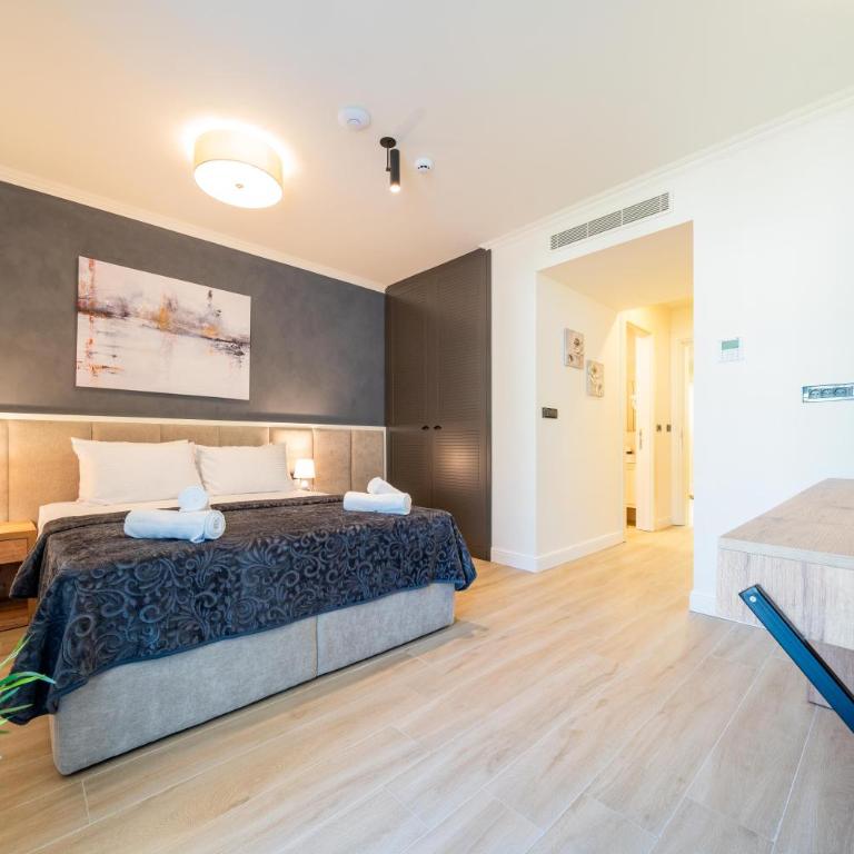 Invictus Hotel - Superior Dvokrevetna Soba sa Bračnim Krevetom - 2