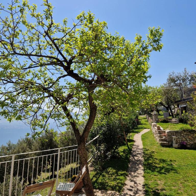 Glicine by Garda FeWo - Appartamento con Vista Lago - 30
