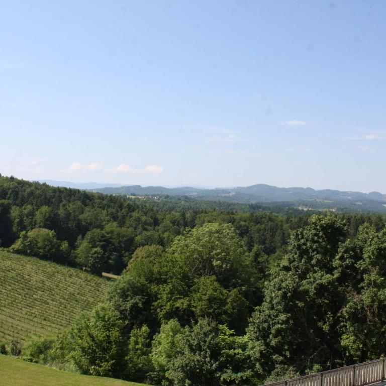 Hotel Garni am Seggauberg - Doppelzimmer mit Terrasse - 2