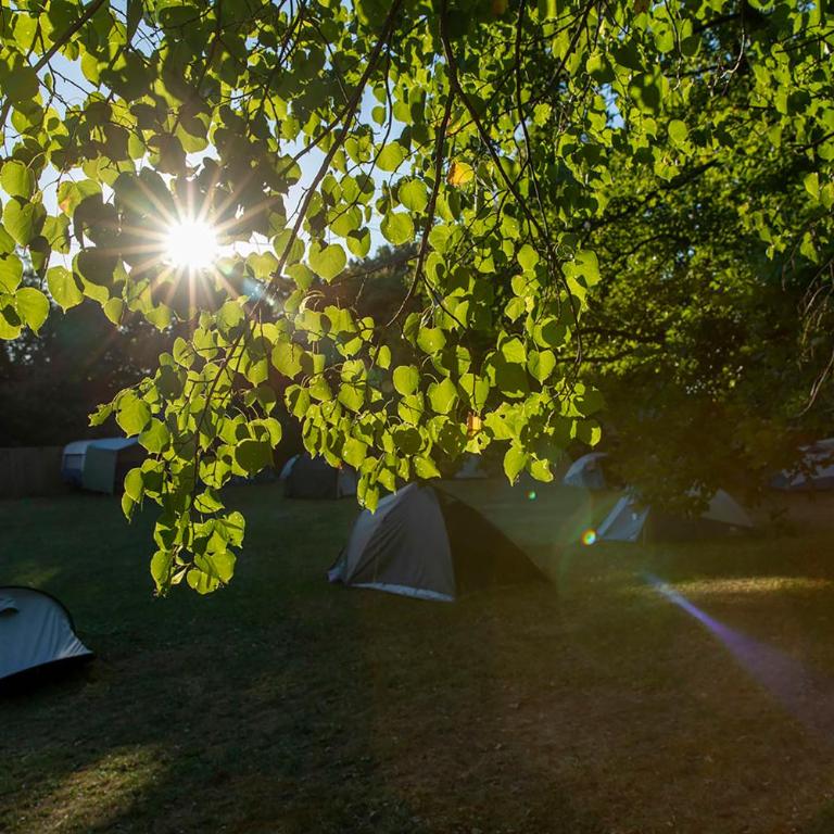 THE TENT - Youth Only - Buchung leider nur bis 30 Jahre möglich! - Stellplatz für eigenes Zelt - 9