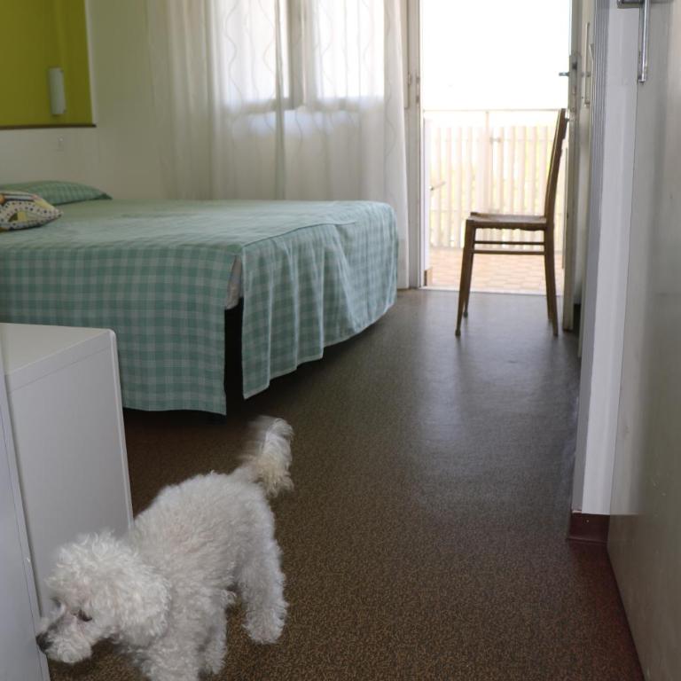 Villa Silente L - Appartamento - 4