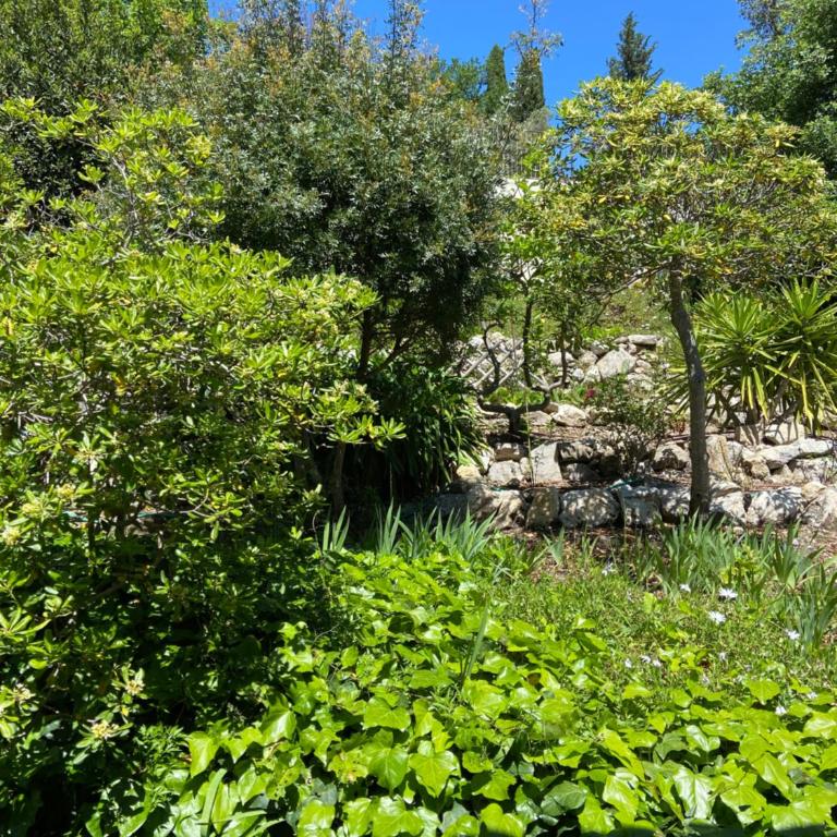 Les Belles Terrasses - Chambre Double - Vue sur Jardin - 8
