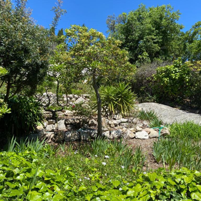 Les Belles Terrasses - Chambre Double - Vue sur Jardin - 7