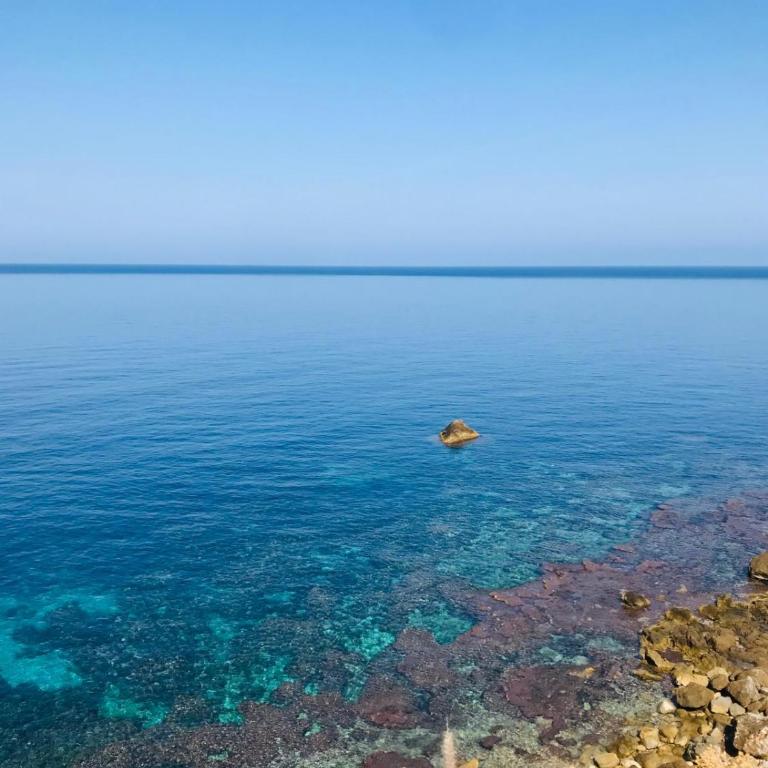 Casa a Mare La Stalletta - Vacation Home - 19
