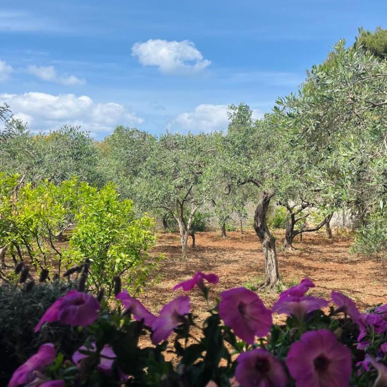Casa a Mare La Stalletta - Vacation Home - 18