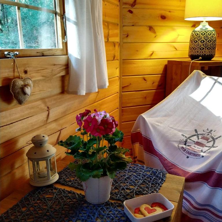 Lo Rey du Lac - Cabina Standard - 5