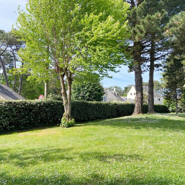 CELADON - Studio, Rez-de-Jardin, Proche Plage - U205 - Studio mit Terrasse - 10