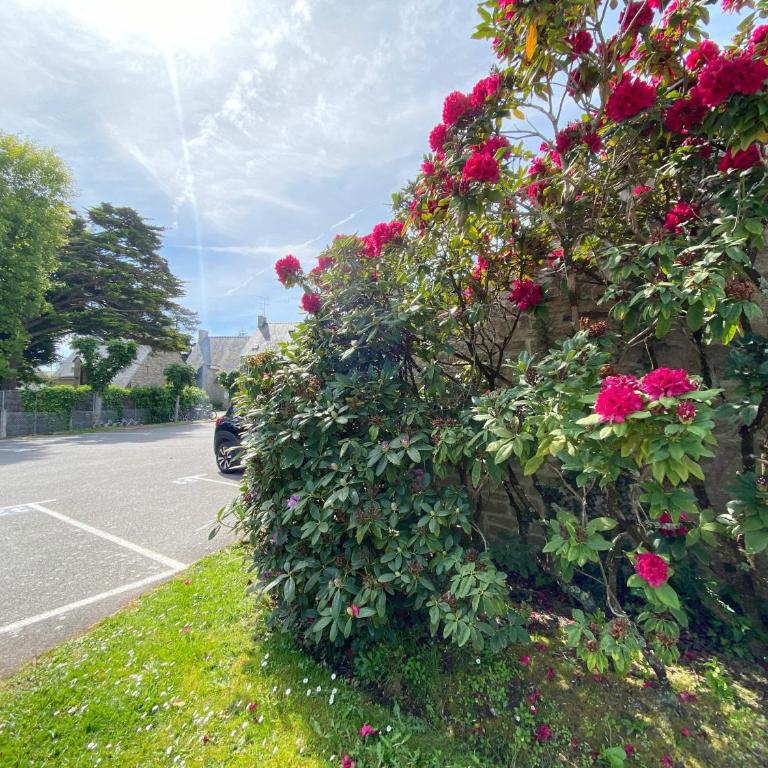 CELADON - Studio, Rez-de-Jardin, Proche Plage - U205 - Studio mit Terrasse - 11
