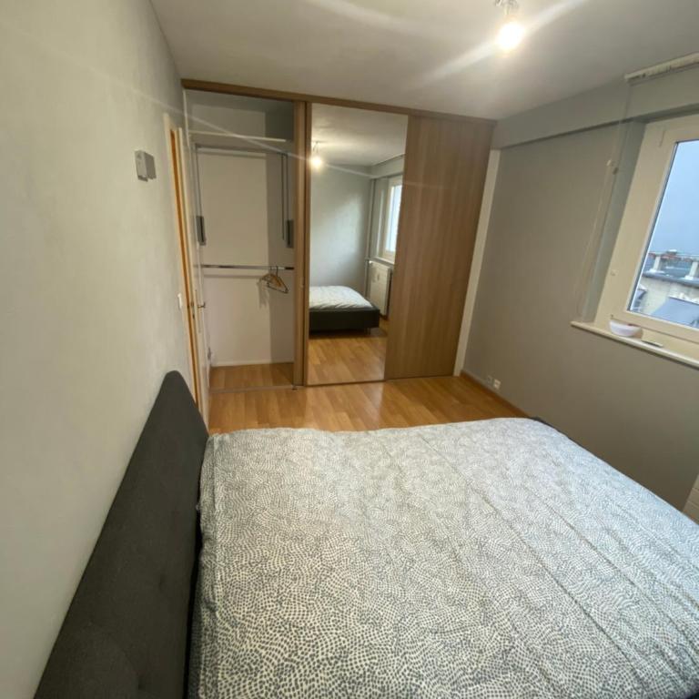 Charment F3 à 8 min de la gare à pied et 1 min du centre - Apartment mit 2 Schlafzimmern - 13