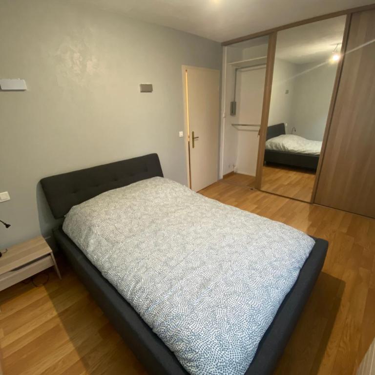 Charment F3 à 8 min de la gare à pied et 1 min du centre - Apartment mit 2 Schlafzimmern - 31