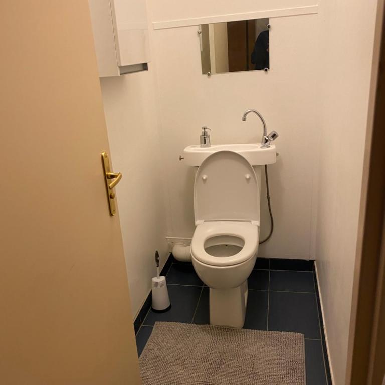 Charment F3 à 8 min de la gare à pied et 1 min du centre - Apartment mit 2 Schlafzimmern - 36