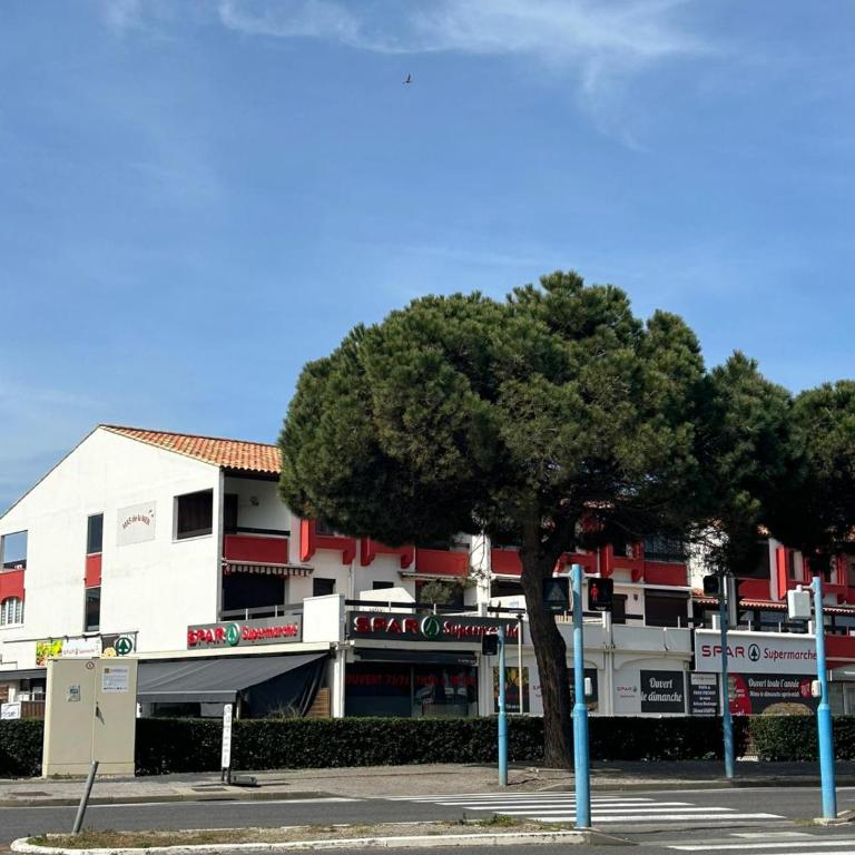 Studio à 100 mètres de la plage 4 personnes - One-Bedroom Apartment - 13