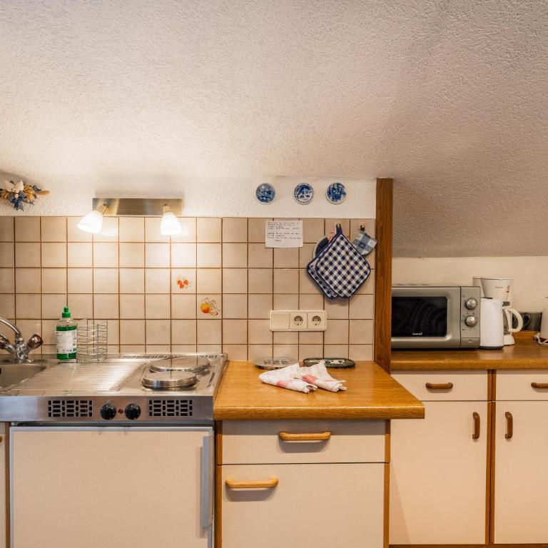 Appartementanlage Thermenblick SKI IN & SKI OUT - Apartment mit 1 Schlafzimmer (2-3 Erwachsene) - 3