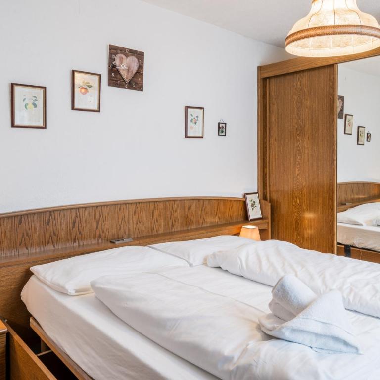 Appartementanlage Thermenblick SKI IN & SKI OUT - Apartment mit 1 Schlafzimmer (2-3 Erwachsene) - 2
