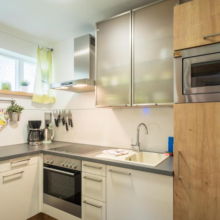 Appartementanlage Thermenblick SKI IN & SKI OUT - Apartment mit 1 Schlafzimmer und einem Balkon (2-4 Erwachsene) - 14