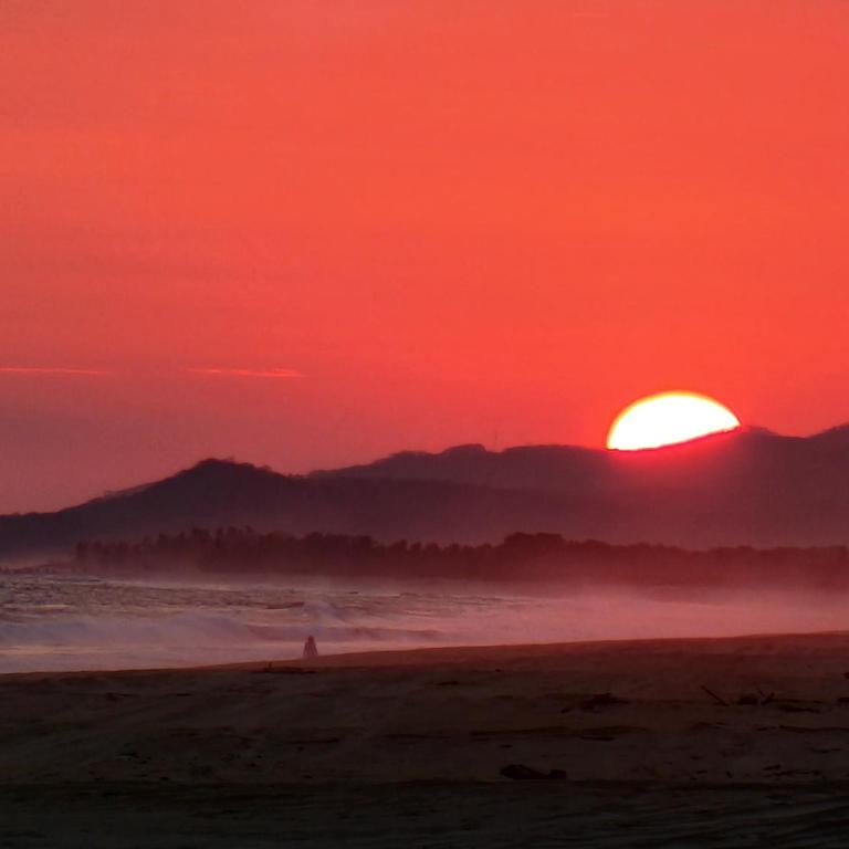Beachfront in a peaceful Resort 8mi from Puerto Escondido - Apartamento de 2 dormitorios - Frente al océano - 16