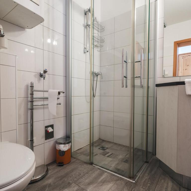 Thermenloft - Apartment mit 1 Schlafzimmer - 8