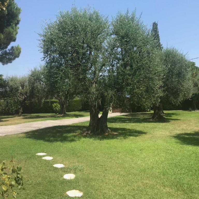 Magnifique Villa Moderne Avec Piscine - Villa avec Piscine Privée - 5