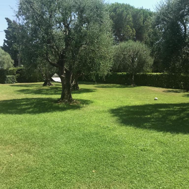 Magnifique Villa Moderne Avec Piscine - Villa avec Piscine Privée - 6