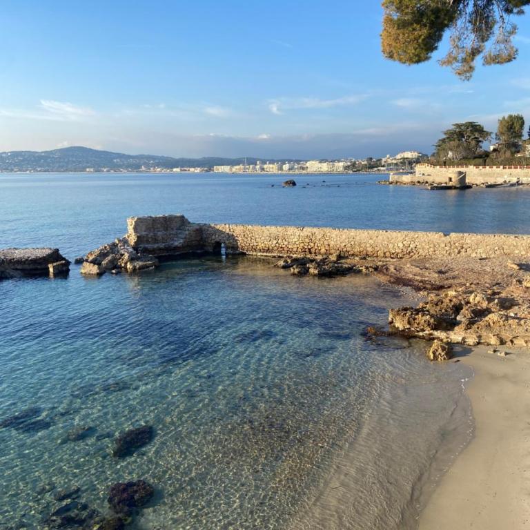 Studio confortable - Parking inclus - proche mer Juan-les-Pins - Appartamento con 1 Camera da Letto - 18