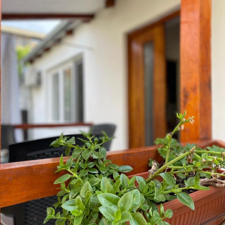 Rustic Villa - Vila sa 2 Spavaće Sobe - 3