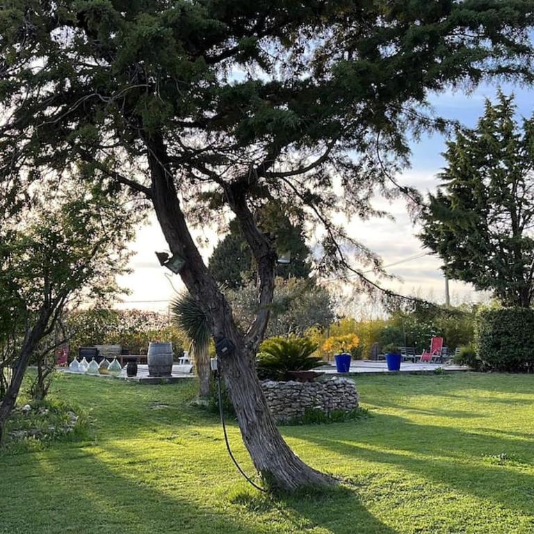 La campagne a la mer sur la cote bleue - Villa - 14
