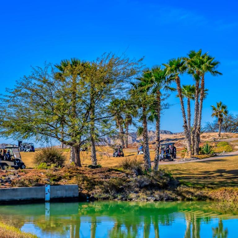 Eagle Village at Islas del Mar C9 - Casa de 2 dormitorios - 21