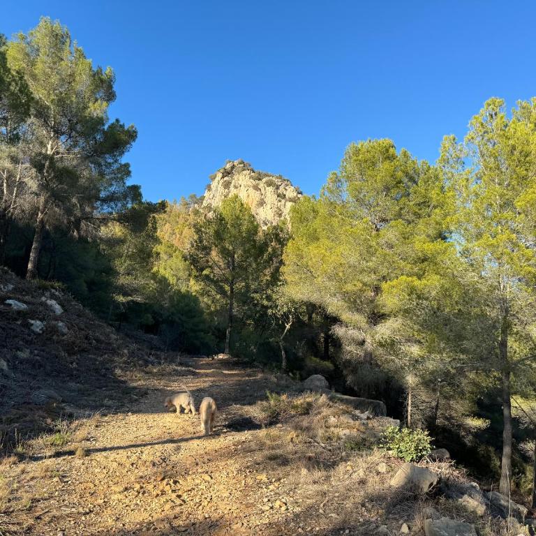 Ibiza Dream Villa Denia, Seaview, Pool, BBQ, Airco, Wifi - Villa con piscina privada - 60