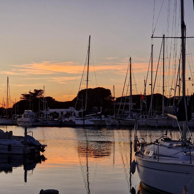 Marina Exceptionnelle - 8 pers - 120 m2 vue mer - Suites Parentales - Cinéma - Ponton - Villa - 74