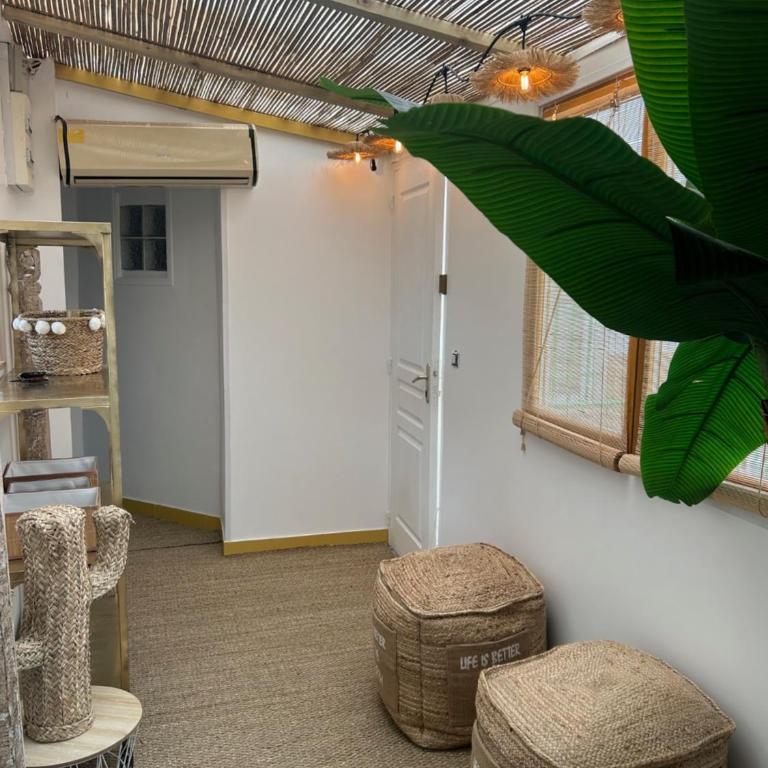 LE BALI BY PERPIGNAN - Appartement 1 Chambre - 10