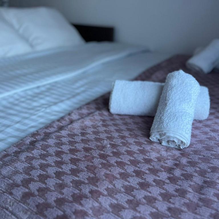 Kataleja-Zlatiboske terase - Apartman sa 1 Spavaćom Sobom - 5