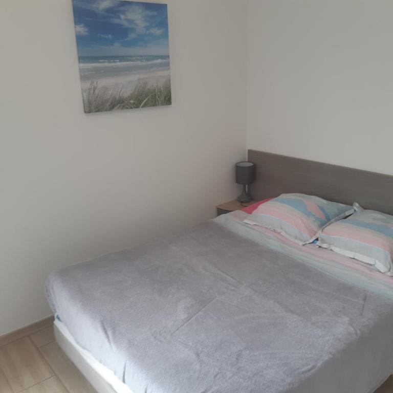 BISCADODO, joignable au zéro6trente53cinquante60 - Chambre Double - Vue sur Jardin - 14