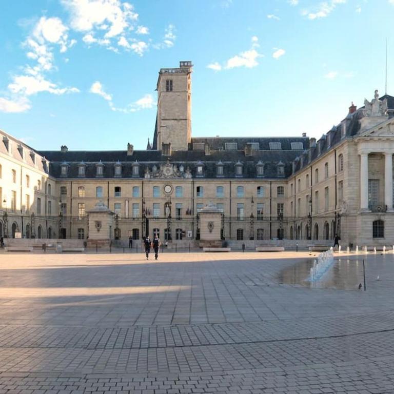 Dynastie 21 - Appartement 4 personnes Dijon Centre - Apartamento de 1 dormitorio - 28