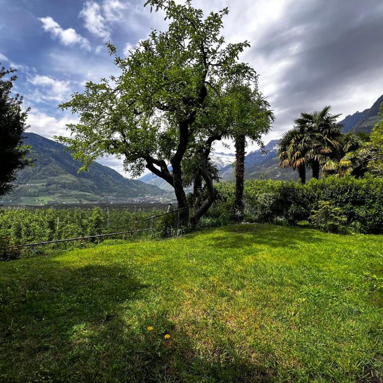 Garden Apartment Villa Corazza - One-Bedroom Apartment - 15