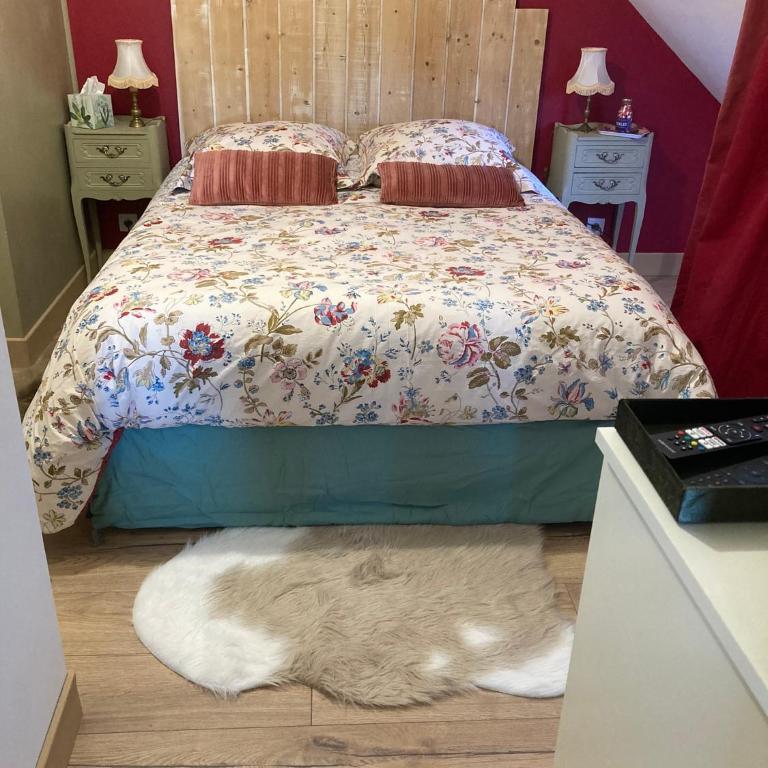 Un Amour de Grenier,à 200m du Zoo - One-Bedroom Apartment - 1