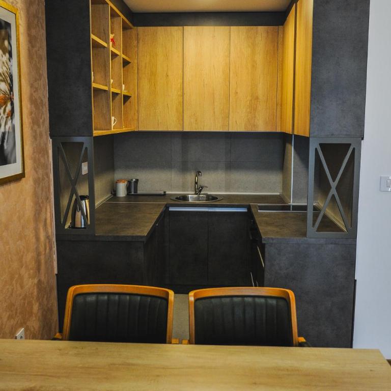 Zlatibor Centar Lux Apartman - Apartman sa 1 Spavaćom Sobom - 9