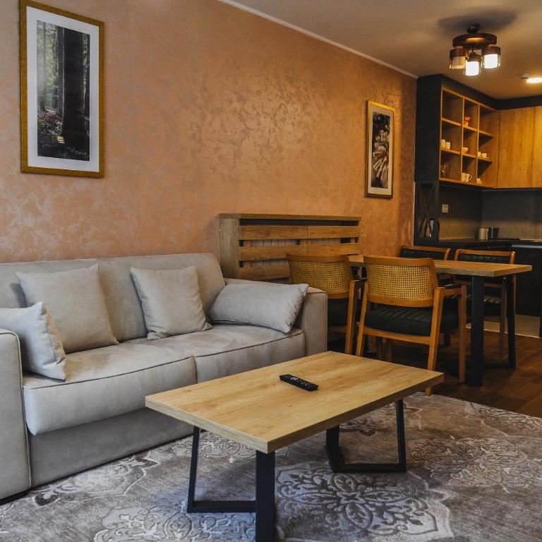 Zlatibor Centar Lux Apartman - Apartman sa 1 Spavaćom Sobom - 19
