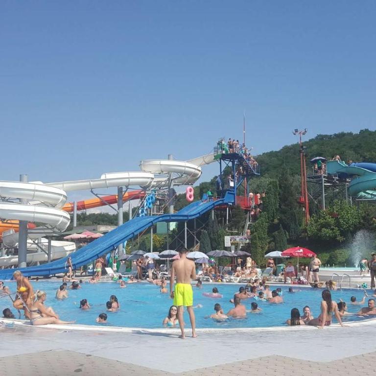 Jagodina Wing Apartman 2 - Apartman - 7